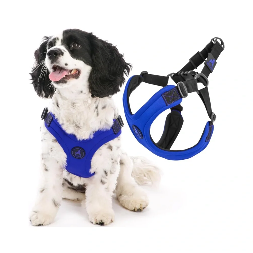 Gooby Escape Free Sport Harness - Blue, Large - No‎ Choke Step-in